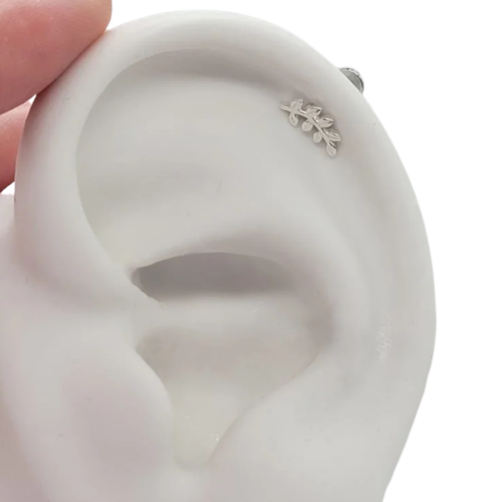 Piercing Orelha Ramos Folhas Prata 925 Tragus Helix | Shopee Brasil