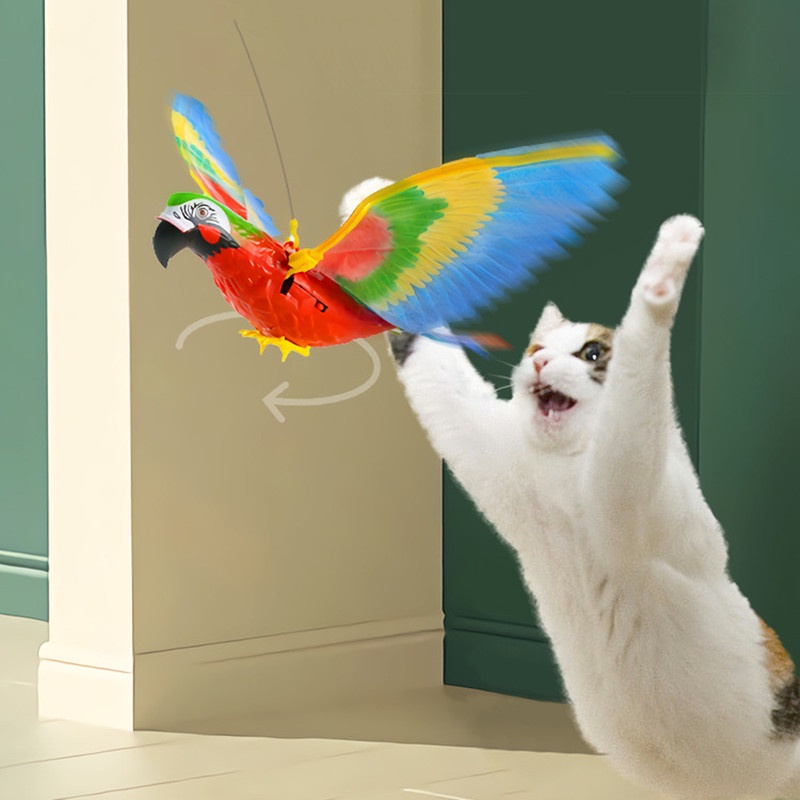 Simulação Pássaro Interativo Brinquedos Do Gato, Pendurado Águia Elétrica,  Jogo De Gato Voador, Stick Scratch Rope, Gatinho e Brinquedo Do Cão -  AliExpress