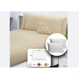 Roupa Cama Queen 400 Fios 3pcs Toque Acetinado AVELA BEGE +2 Travesseiro SILICONIZADO