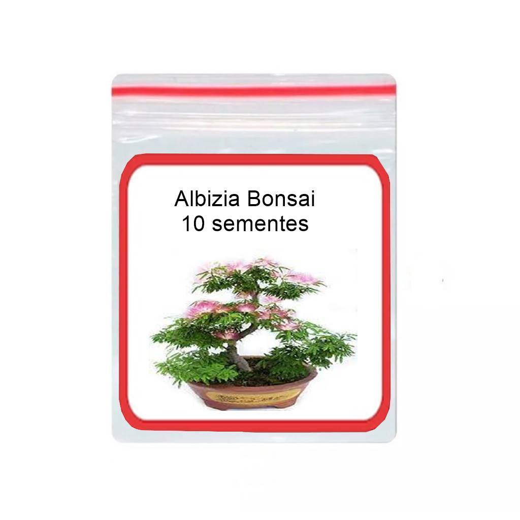bonsai rododendro Azalea (Rhododendron) Bonsai Tree | Shaped