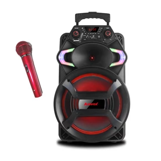 Caixa De Som Amplificada Amvox 550 Bivolt Radio FM + Microfone com Fio Vermelho Profissional LeSon