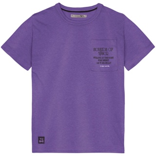 Camiseta Infantil Menino Manga Curta Tigor