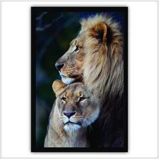 Quadro Decorativo com Moldura de Madeira 60x40 Casal Leões na Vertical Série Animais para Decoração de Sala, Quarto e outros Ambientes
