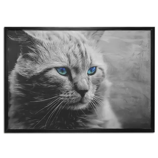 Quadro Decorativo Em Veludo Gato Cinza Olhos Azuis  90x60 88 Athena