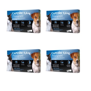 Combo 4 -Antipulgas Capstar 11mg 1 Comp. Cães Gatos Até 11kg
