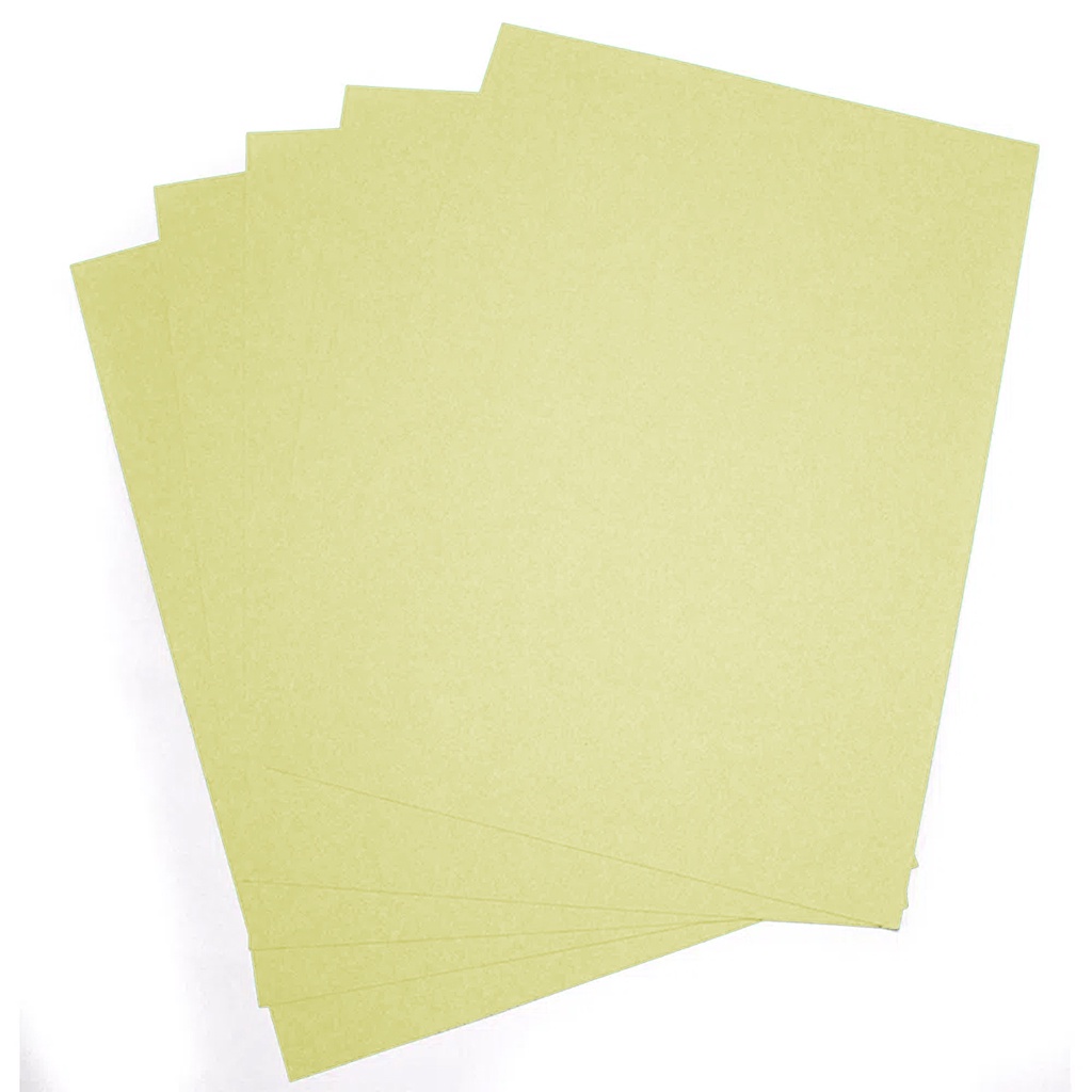 CANSON Iris Vivaldi Carta Colorata A4, 185 G/m², 12 Colori Vivaci, 120 Fogli - Certificata FSC, Made In France, Per Bricolage