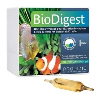 Prodibio Biodigest 20 Bilhões Bacterias Vivas 1 Ampola