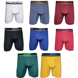 Kit 4 Bermuda Cueca Boxer Long Leg térmica Adulto masculino Futebol Longa Masculina Academia leggings Microfibra
