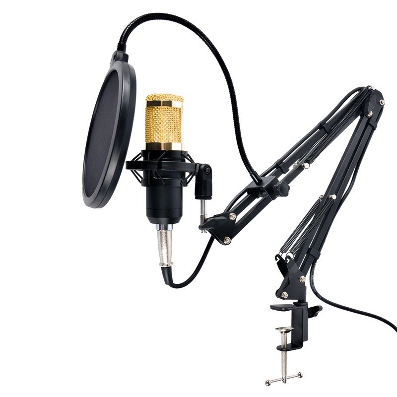 Kit Microfone Profissional Completo Bm800 Dourado com Pop Filter Aranha Braço Articulado