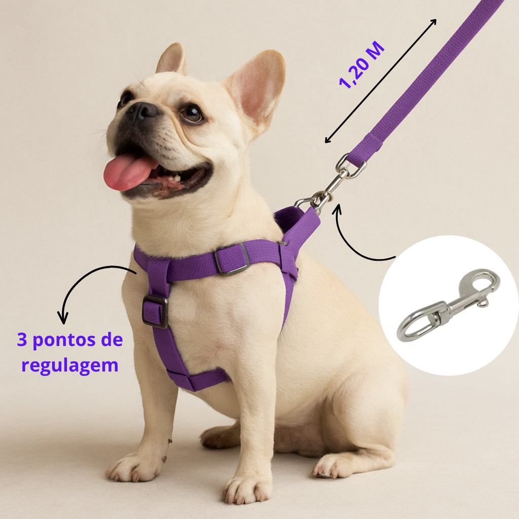 Coleira Peitoral com Guia para Cães Pequenos e Médios – Ajustável ...