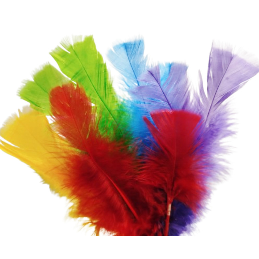 Pena Colorida Para Decoração , Acabamento, Artesanato e Carnaval em Oferta na Shopee