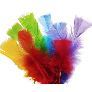 Pena Colorida Para Decoração , Acabamento, Artesanato e Carnaval em Oferta na Shopee