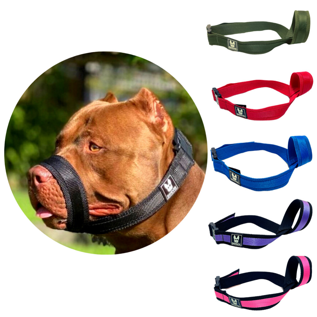 Focinheira Ajustável E Confortável Para Cachorro Pitbull - Escolha a ...