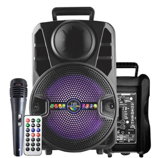 Caixa de Som com Microfone P10 1000W Grande Potencia Alto Portatil em Oferta na Shopee