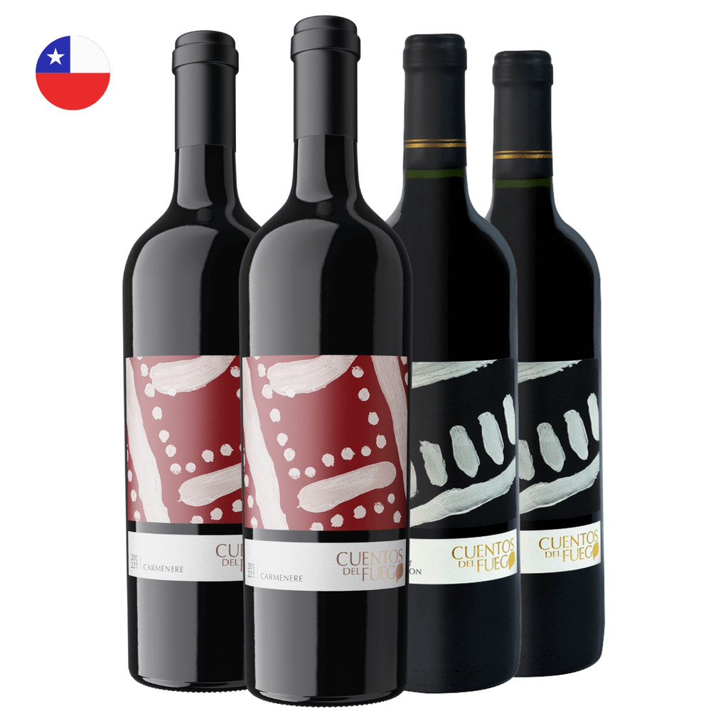 Kit 4 Vinhos Chilenos - 2 Vinhos Tinto Seco Uva Carmenere e 2 Vinhos ...