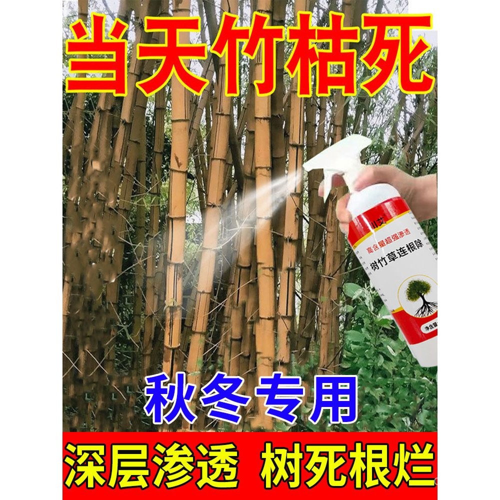 Herbicida Especial para Matar Raízes de Bambu, Remoção Completa de ...