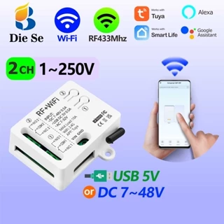 Interruptor inteligente sem fio WiFi Tuya de 2 canais,relé CC 12V 24V 48V,compatível com Alexa e Google Home