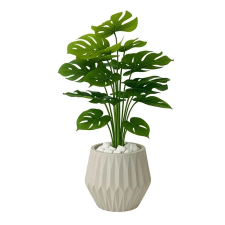 Costela de Adão + Vaso Origami Completo