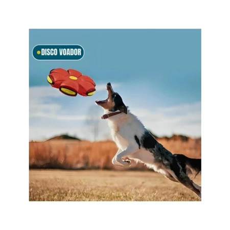 Bola mágica interativa para cachorro