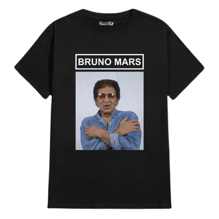 Camiseta Meme Reginaldo Rossi Bruno Mars Cantor Vintage Premium Camisa 100% Algodão Fio 30.1 Envio Mais Rápido do Brasil