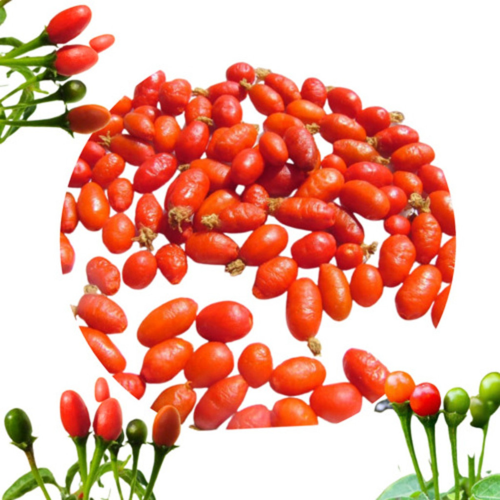 Pimenta Comari Cumari Passarinho A Verdadeira 200 Sementes | Shopee Brasil