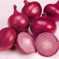 200 sementes 400 sementes 1000 sementes de Cebola Roxa Red Creole Blue ...