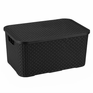 Caixa Organizadora Multiuso Micro Rattan 3,5L Com Tampa Removível E Pegadores Laterais

 - Monte Líbano em Oferta na Shopee
