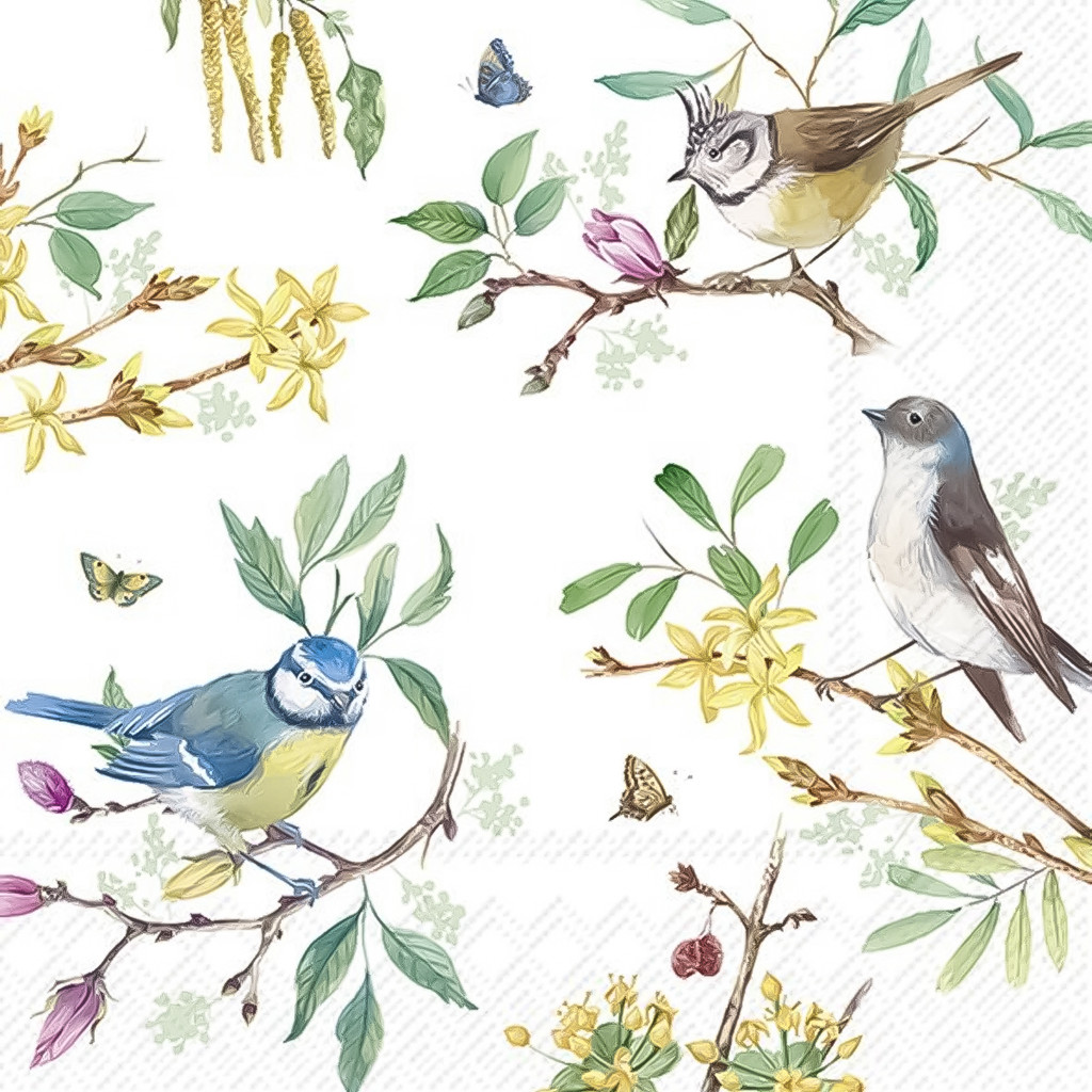 Tovaglioli Di Carta Primavera Cat Stella - 20 Pezzi 33x33 Cm, 3 Strati - Perfetti Per Decoupage