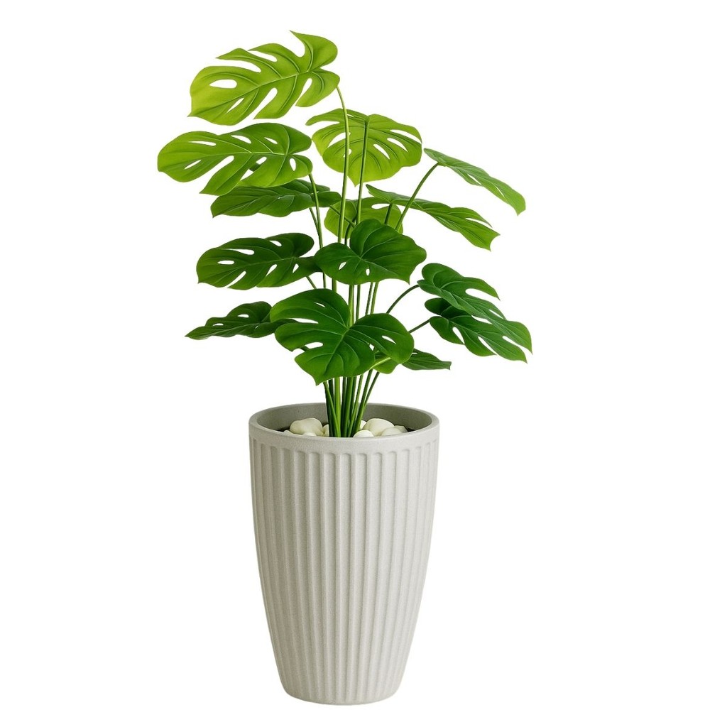 Costela De Adao Artifical com Vaso Polietileno Completo Casa