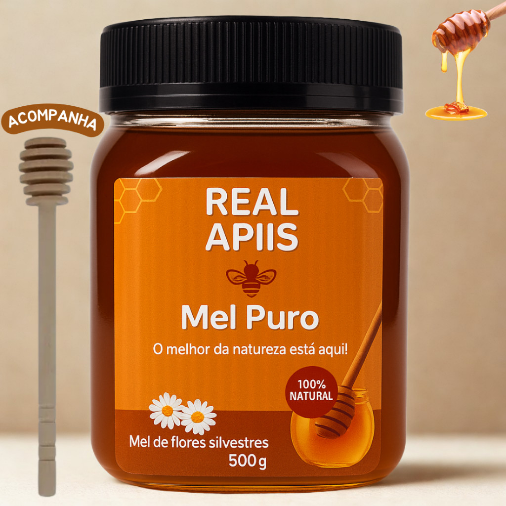 Mel Orgânico 100% Puro Sem Conservantes E Natural Gorumet pote 500g ...