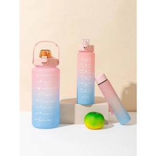 Kit 3 Garrafa de Água Squeeze Motivacional Com Adesivos 300ML+900ML+2000ML