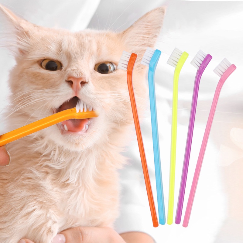 Kit Com 12 Escovas Duplas De Dente Cabo Longo Para Pet Cuidado Bucal ...