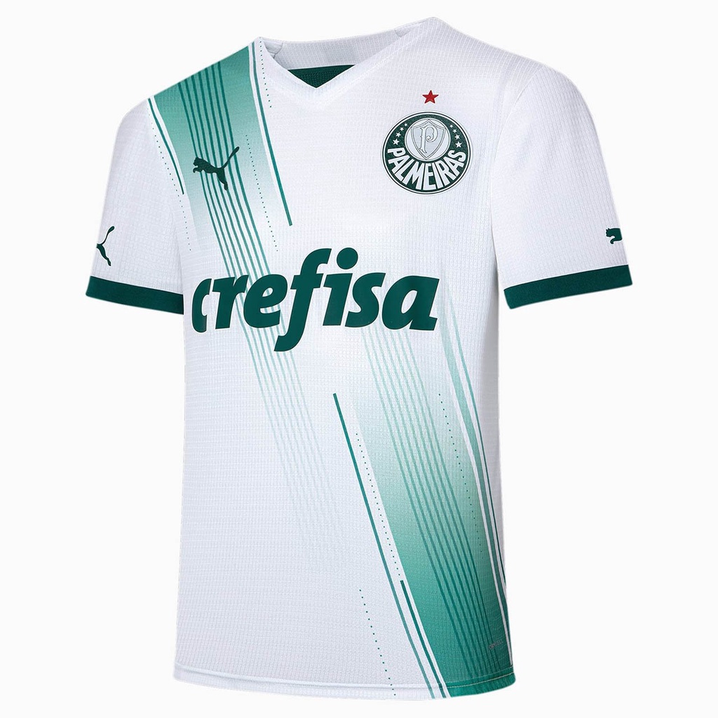 t-shirt camiseta palmeiras ♡ (png) em 2023  Camisetas do palmeiras, Camisa  da frança, Camiseta