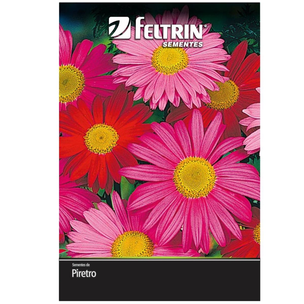 Sementes de Piretro Gigante (Sortido) FELTRIN | Shopee Brasil