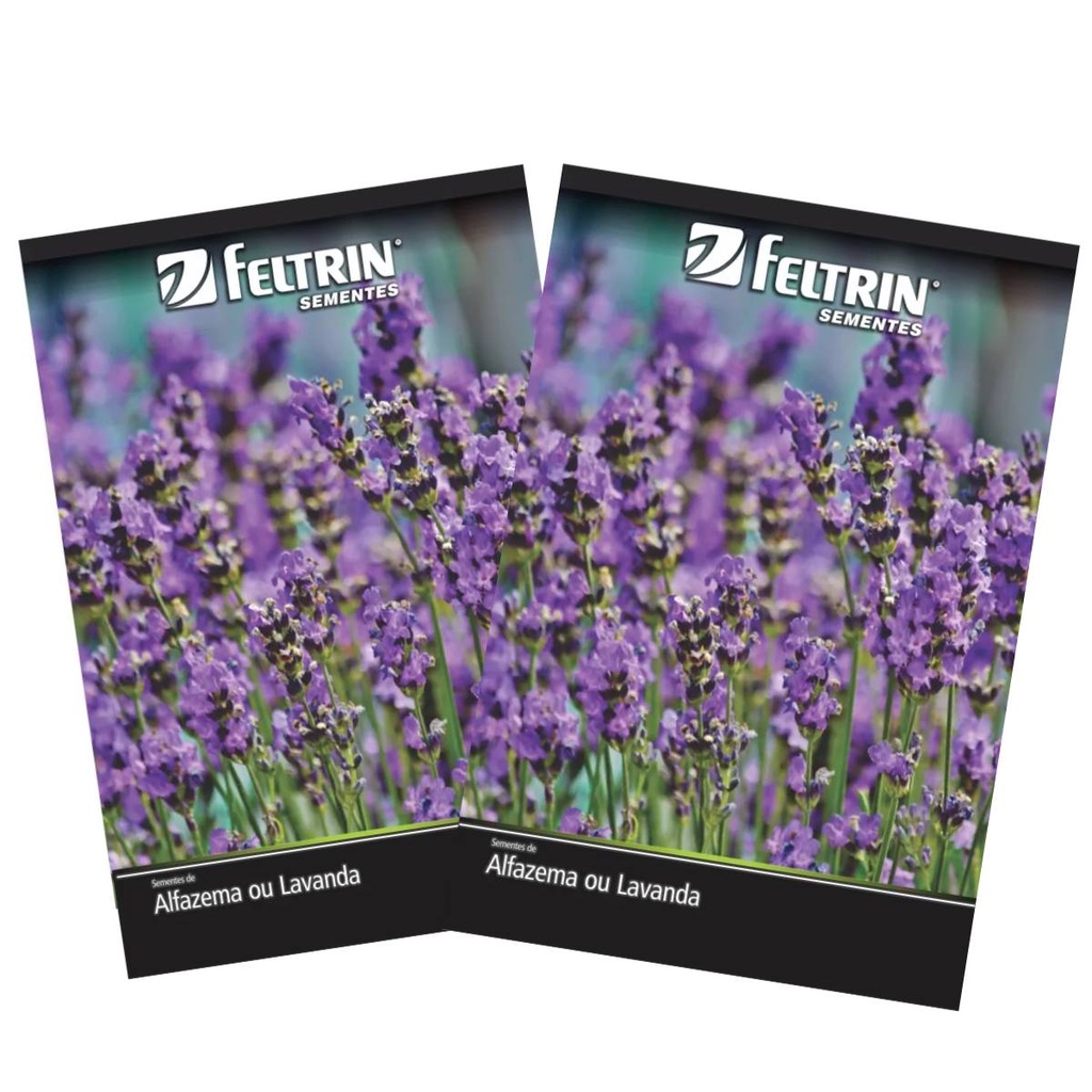 2X Sementes de Alfazema ou Lavanda FELTRIN
