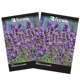 2X Sementes de Alfazema ou Lavanda FELTRIN