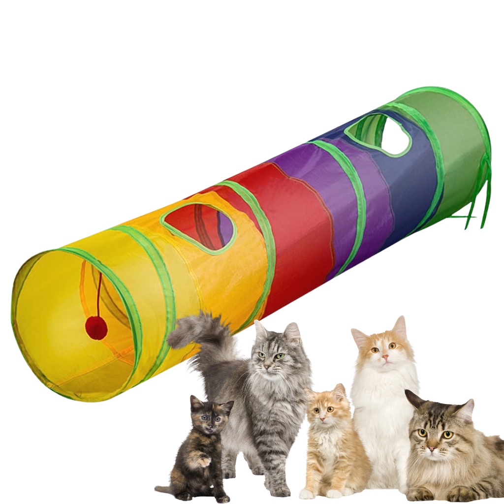 Brinquedo do túnel do jogo do gato - túnel para animais estimação  túnel  aventura interativo para animais estimação portátil, brinquedos interativos  molas Ngumms : : Pet Shop