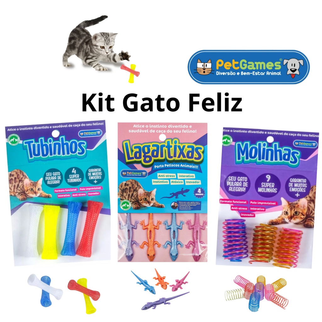 Kit Gato Feliz com 3 Brinquedos Interativos Molinhas/ Tubinhos/ Lagartixas para Gatos Pet Games