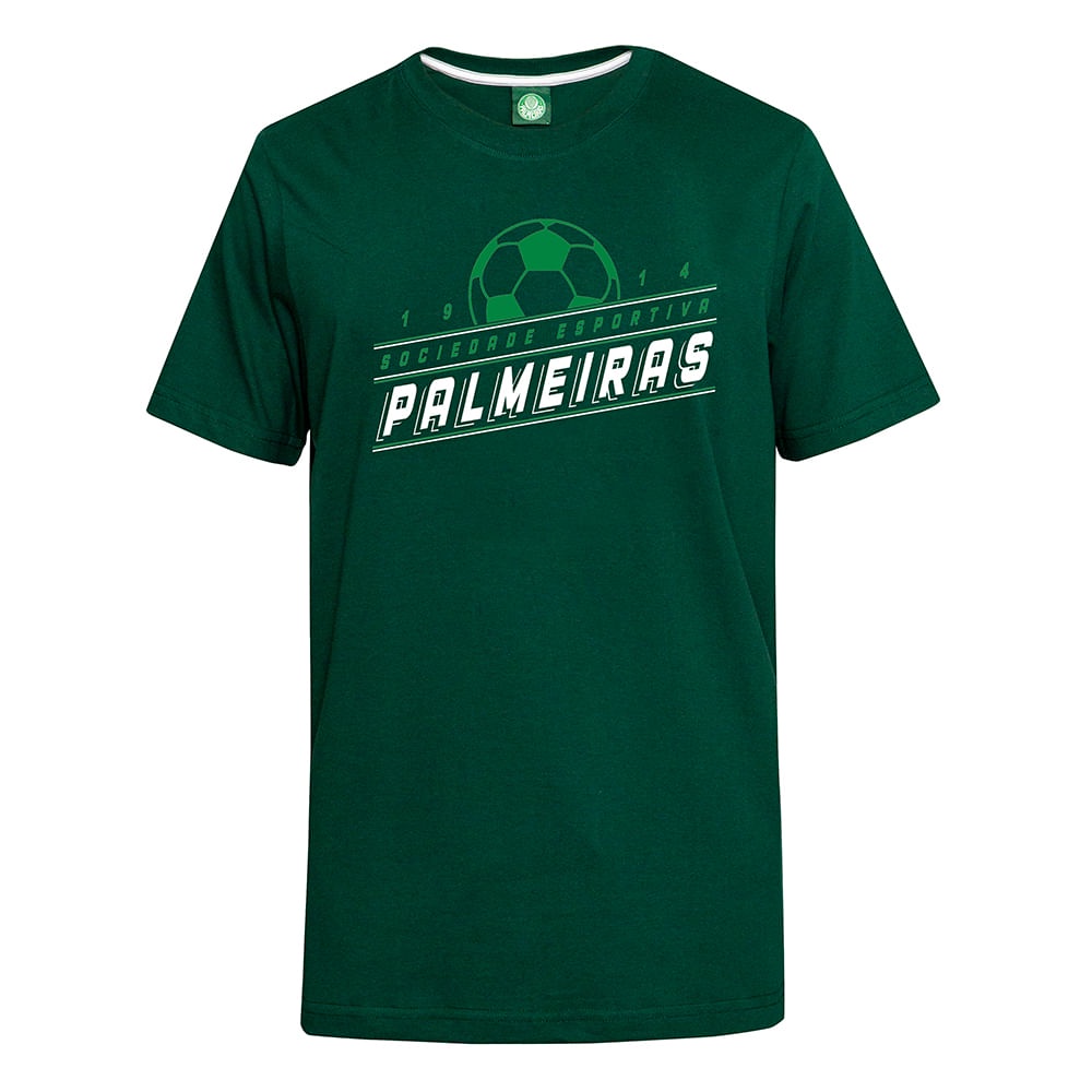 Camisa masculina hot sale do palmeiras