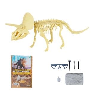 3d Dinossauro Dinossauro Kit de Escavação Fóssil Kit Educacional  Arqueologia Requintado Brinquedo Conjunto Jogo Interativo Jogo Conjunto De  Dinossauro Modelo esqueleto