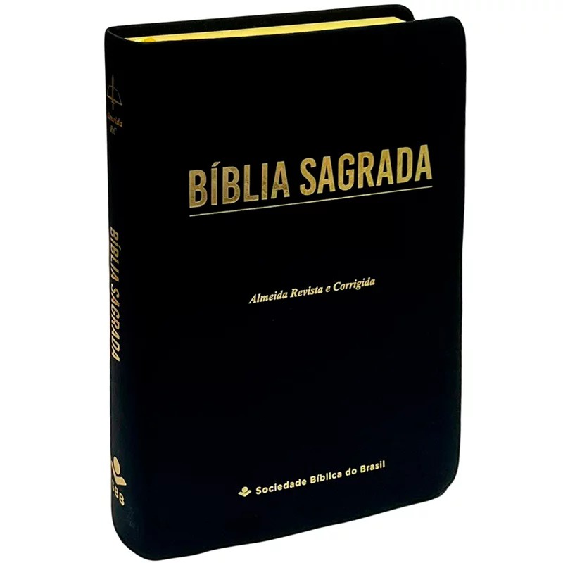 Bíblia Sagrada Economica | ARC | Letra Gigante | Capa Preto Luxo ...