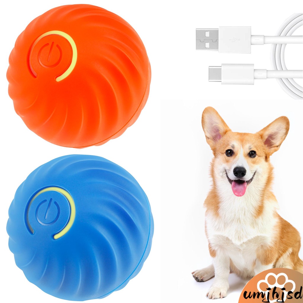 Electronic dog shop ball