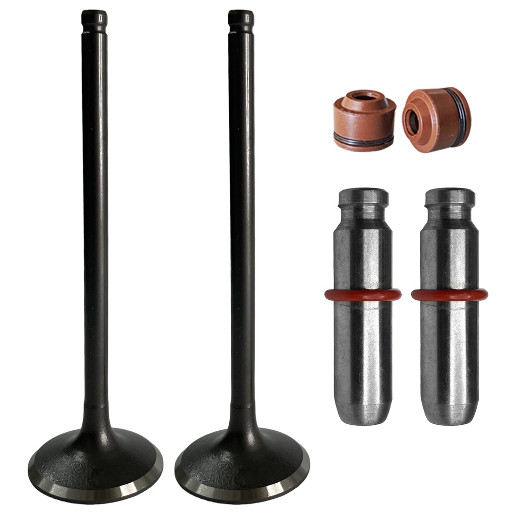 Par Valvulas Admissão e Escape + Guias + Retentor CG Titan 150 / Fan 150 / Bros 150