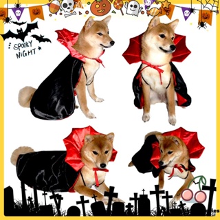 Trajes de Halloween para Cães Fantasia de Aranha para Festa de Halloween  para Cães Médios Pequenos Gatos Estilo 2