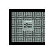 O Relatório de Brodeck- Tomo 1- o Outro ( Novo) Manu Larcent