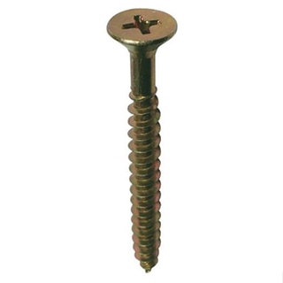 Parafuso Philips cabeça chata de aço 50MM PAC09 10 unidades Fixtil