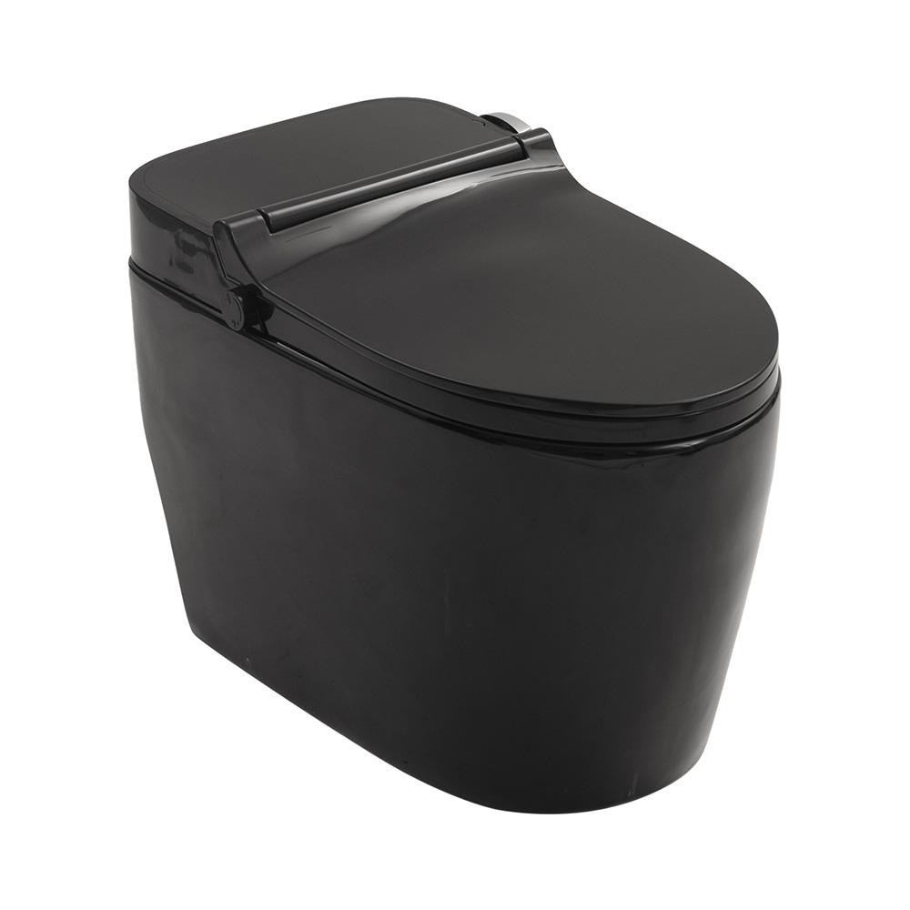 Vaso Sanitário Monobloco Caixa Acoplada Privada Bidê Celestita Pingoo - Preto