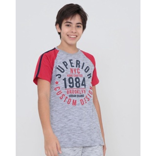 Camiseta Juvenil Raglan Flamê Estampada Cinza