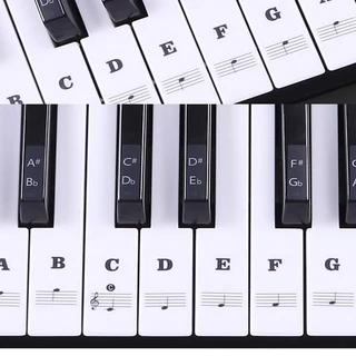 Adesivo Transparente Para Teclado De Piano Eletrônico Removível 37/49/54/61/88