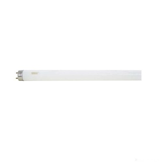 Lâmpada fluorescente Taschibra 18w T8